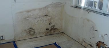 drywall damage