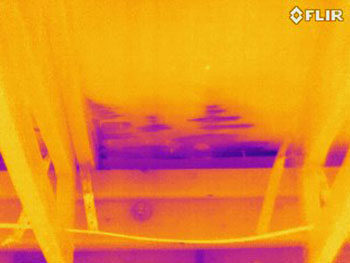 thermal imaging